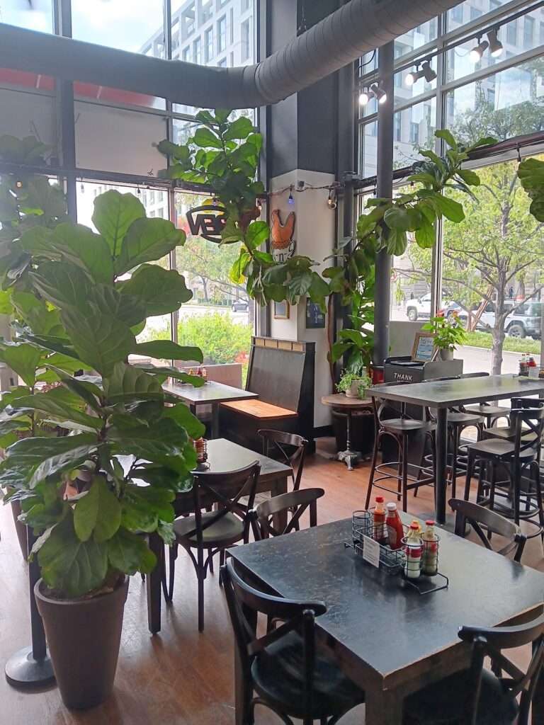 Little Village Grill photo 6